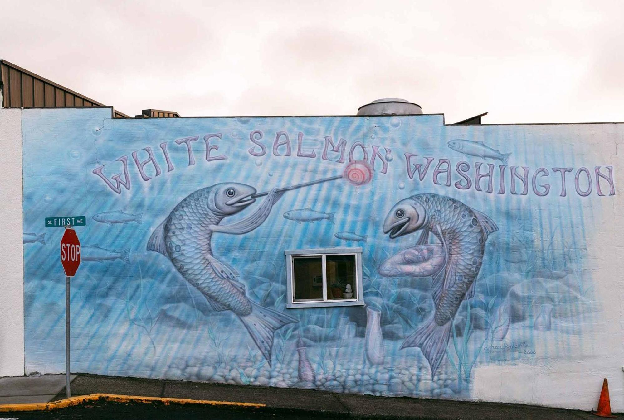 Inn Of The White Salmon Eksteriør bilde